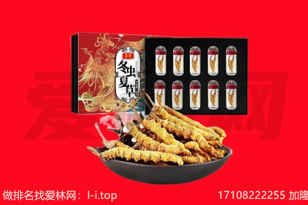 合肥肥西县回收虫草.jpg